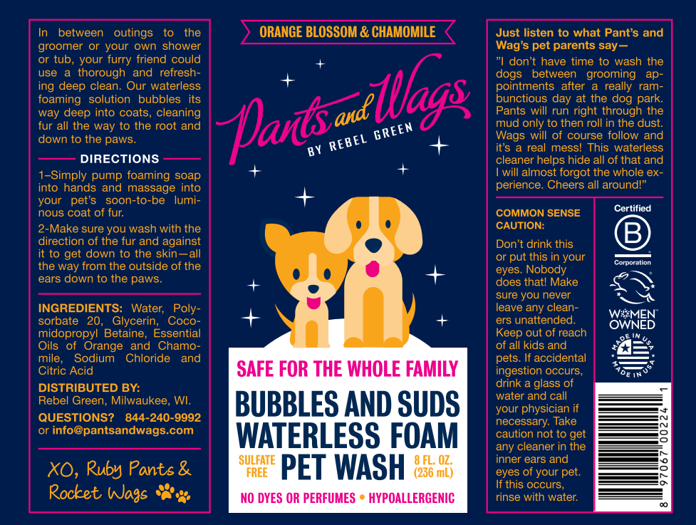 BUBBLES AND SUDS WATERLESS FOAM PET WASH 8oz - 2pk