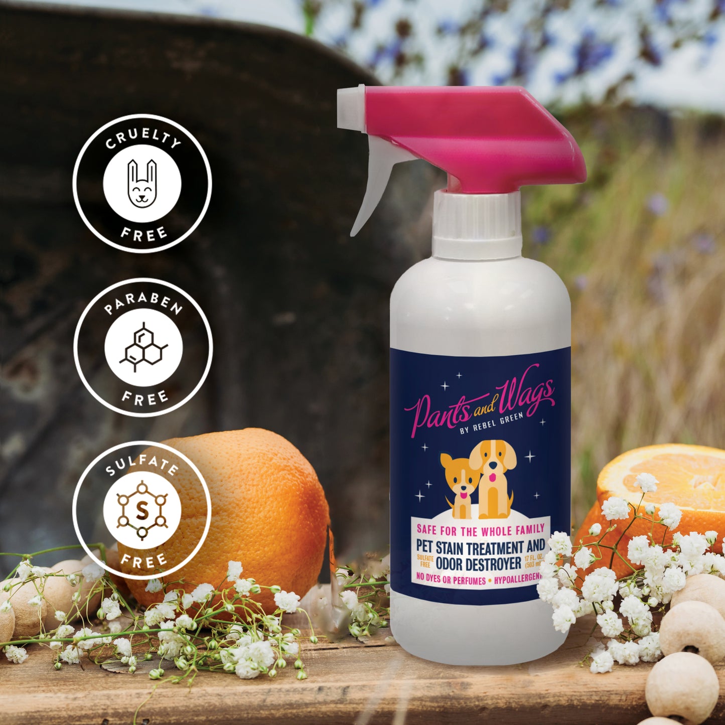 PET STAIN TREATMENT AND ODOR DESTROYER 16oz - 2pk