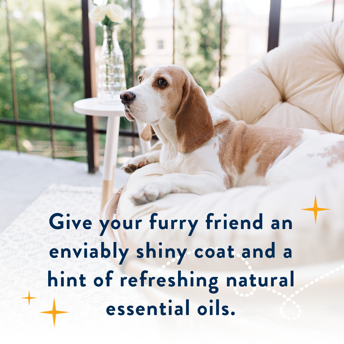 SPRINKLE, SPARKLE & SHINE ESSENTIAL OIL SPRAY 8oz - 2pk