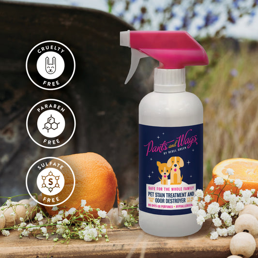 PET STAIN TREATMENT AND ODOR DESTROYER 16oz - 2pk
