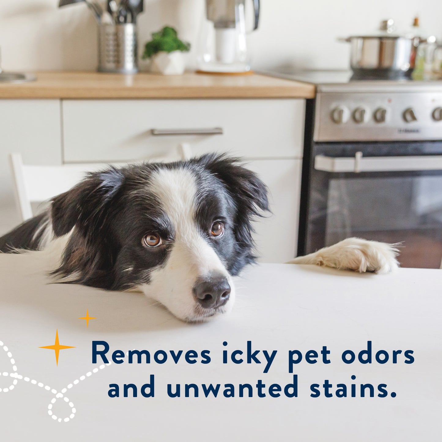 PET STAIN TREATMENT AND ODOR DESTROYER 16oz - 2pk