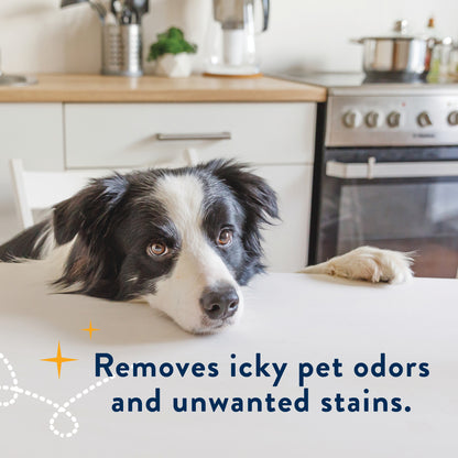 PET STAIN TREATMENT AND ODOR DESTROYER 16oz - 2pk