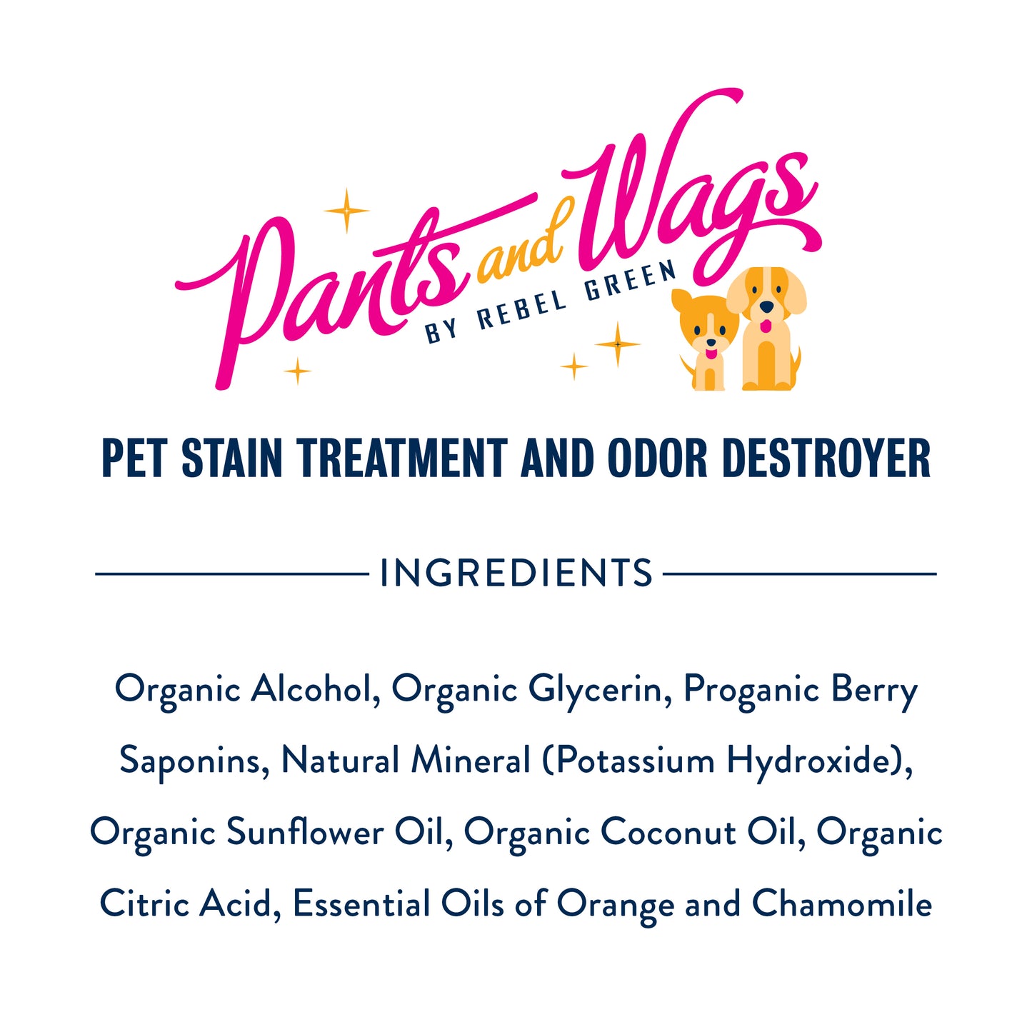 PET STAIN TREATMENT AND ODOR DESTROYER 16oz - 2pk