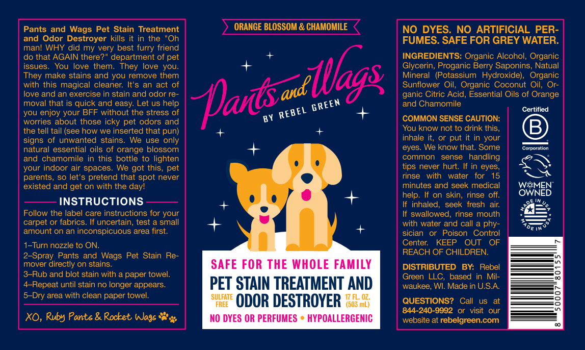 PET STAIN TREATMENT AND ODOR DESTROYER 16oz - 2pk