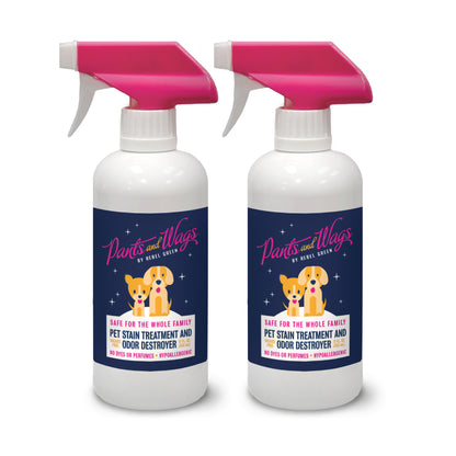 PET STAIN TREATMENT AND ODOR DESTROYER 16oz - 2pk