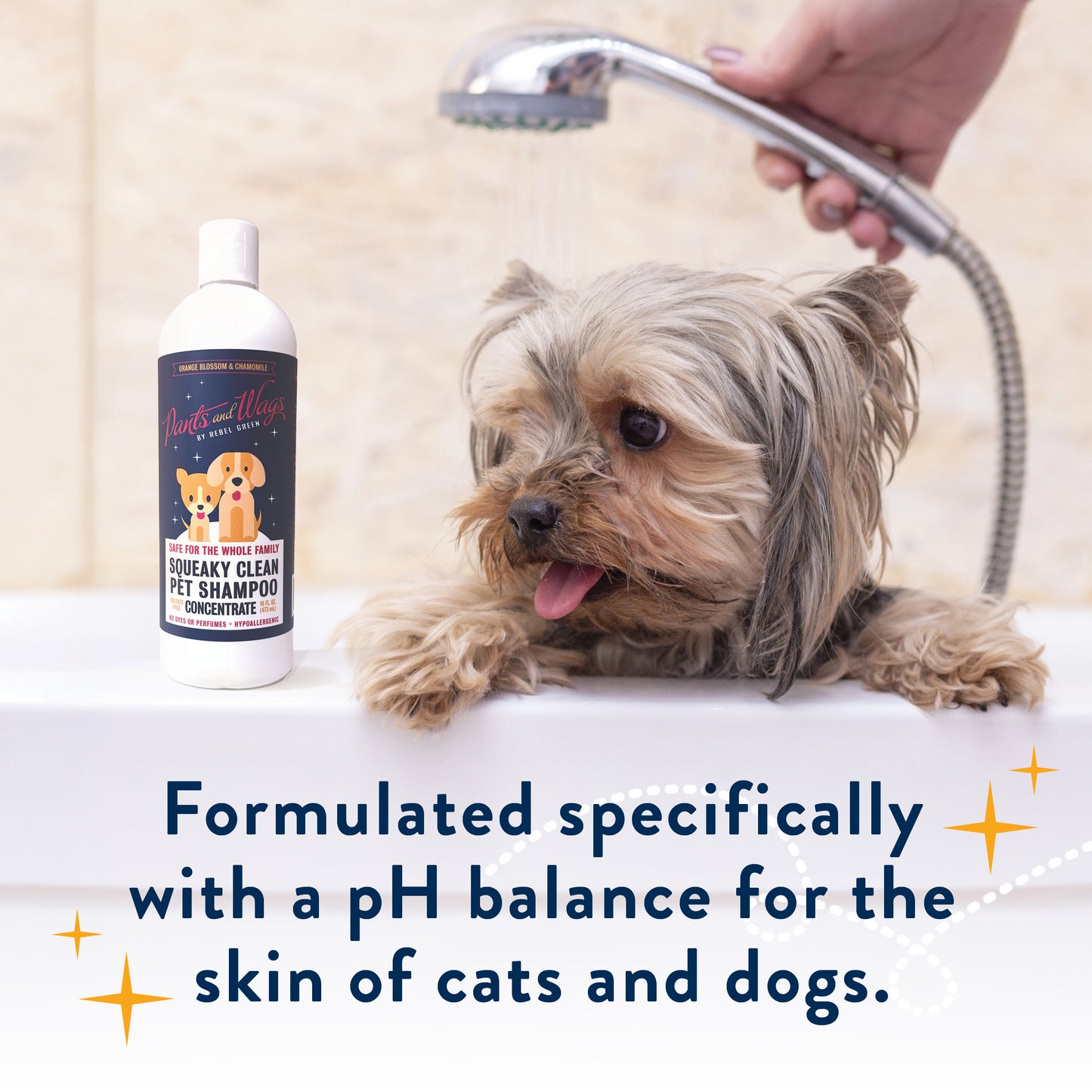 SQUEAKY CLEAN PET SHAMPOO CONCENTRATE 16oz - 2pk