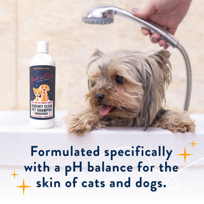 SQUEAKY CLEAN PET SHAMPOO CONCENTRATE 16oz - 2pk