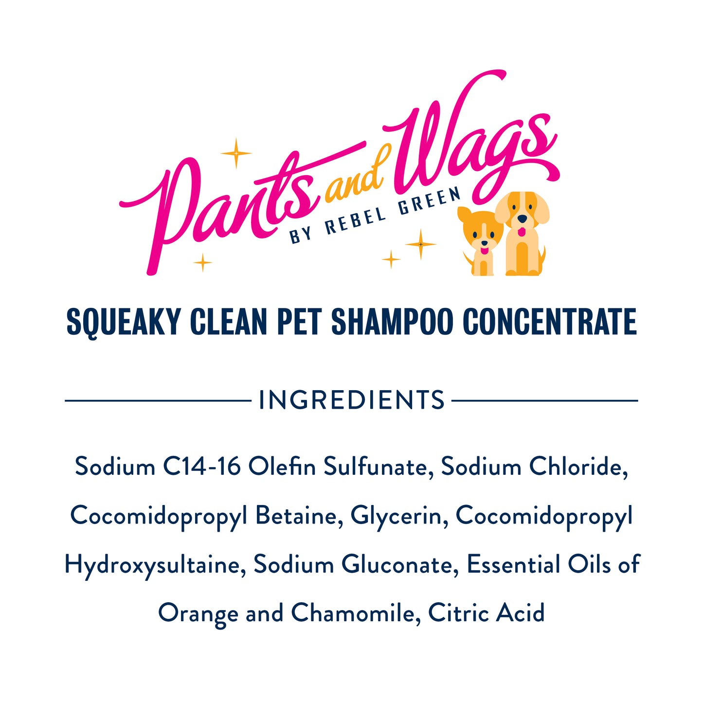 SQUEAKY CLEAN PET SHAMPOO CONCENTRATE 16oz - 2pk